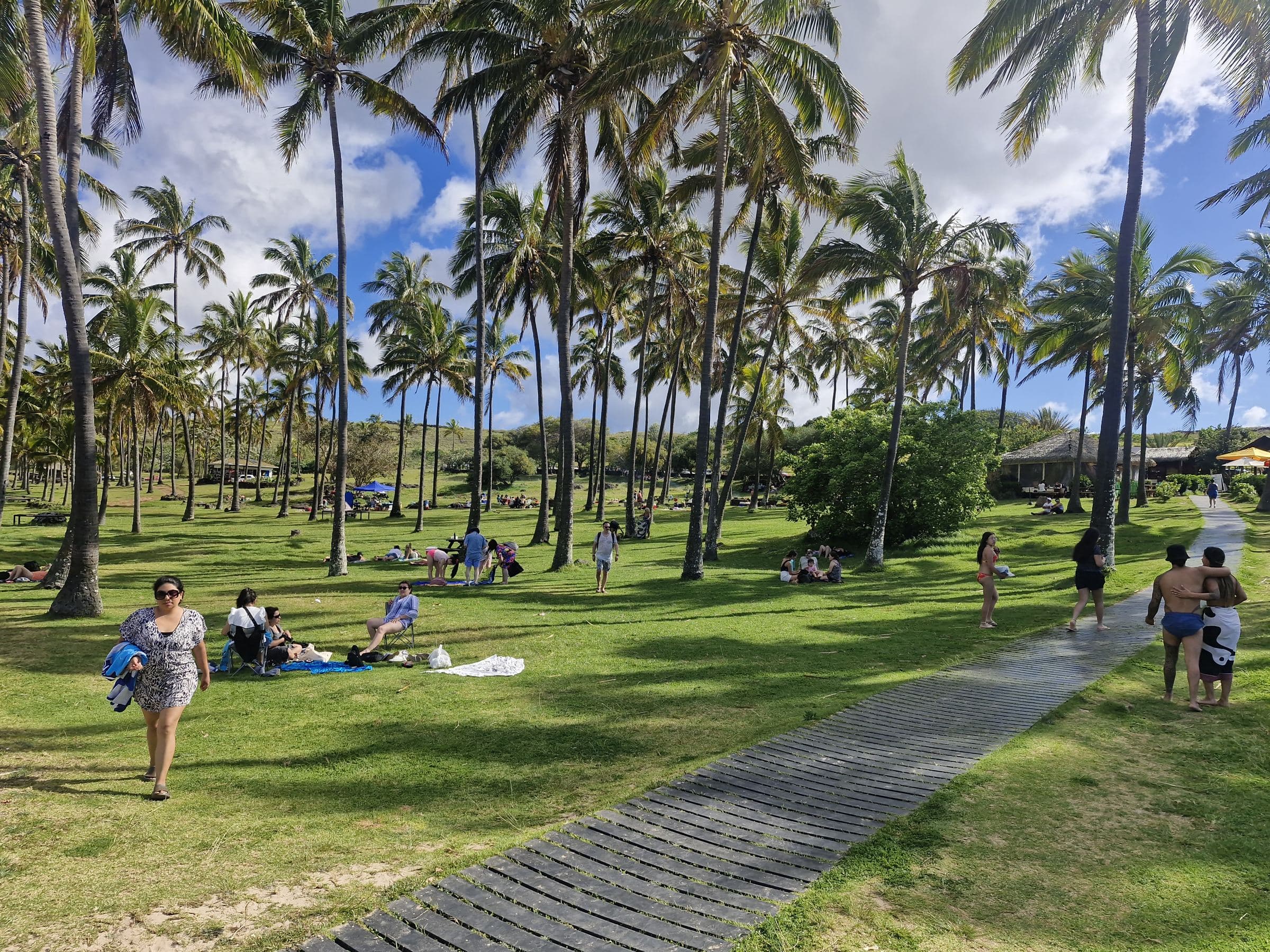 palmeral de Anakena con visitantes en el pasto