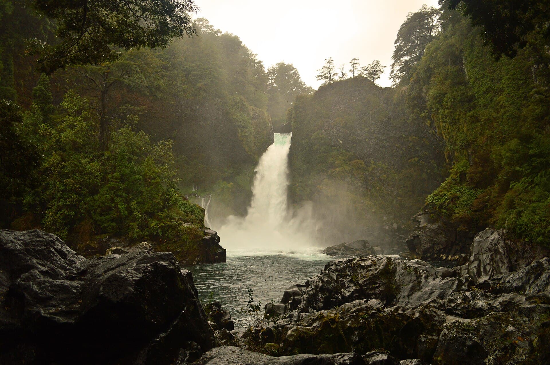 El salto del Huilo Huilo cayendo entre el bosque nativo